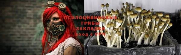 прущая мука Алексеевка